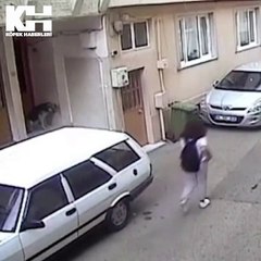 Başıboş köpek, sinsice yaklaşıp kız çocuğuna saldırdı!