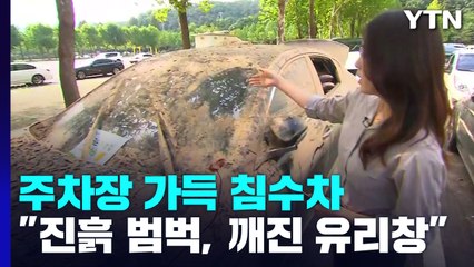 "진흙 범벅에 유리창 깨져 처참"...서울대공원 주차장 침수차 '가득' / YTN