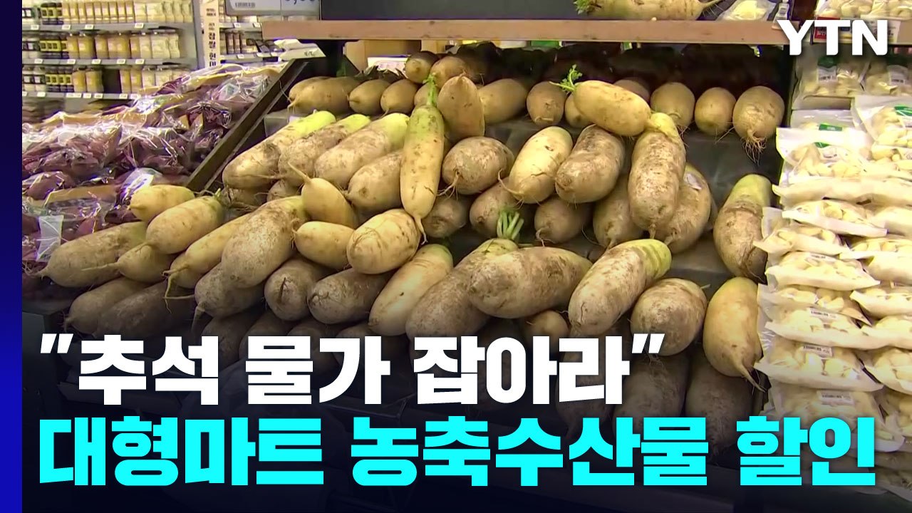 "추석 장바구니 물가 잡아라"...오늘부터 대형 마트 성수품 최대 20% 할인 / YTN