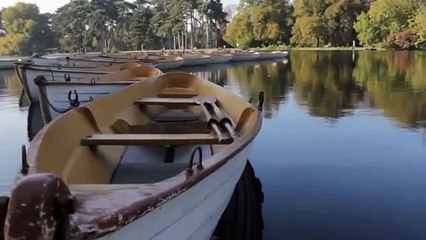 Exclusivité ! Terrain de 12.000 m2 en vente à Moorea-Maiao a