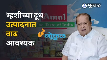 Amul milk Vs Gokul Milk : अमूलचं आव्हान कसं परतवणार ?