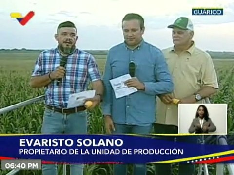 Guárico | Unidad de Producción “Llano Alto”, suma más de 254 mil hectáreas sembradas de maíz
