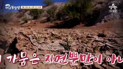 [예고] 피부가 건조하면 피부암까지 불러올 수 있다?! 자외선뿐만 아니라 적외선의 위협에서 피부를 지켜라!