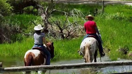 Explore a 200±-Acre Ranch on the Jefferson River near Three Forks, Montana