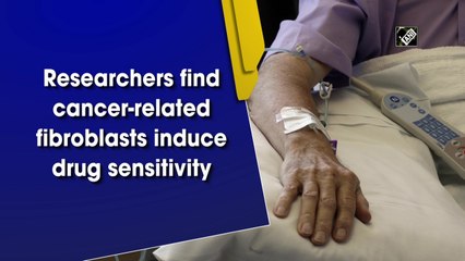 Researchers find cancer-related fibroblasts induce drug sensitivity