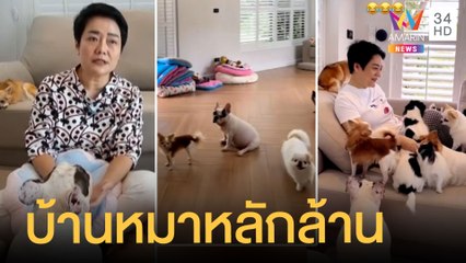 เปิดใจสาวรีวิวบ้านหมาหลักล้าน เลี้ยง 17 ตัว ซื่อสัตย์แถมช่วยคลายเครียด | ข่าวเที่ยงอมรินทร์|18ส.ค.65