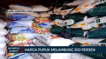 Harga Pupuk di Kabupaten Karo Meroket Tajam