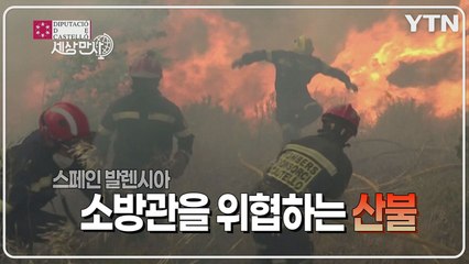 [세상만사] 소방관들 목숨 위협하는 스페인 발렌시아 지역 산불 / YTN
