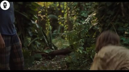 Island Where People Age 1000x Slower