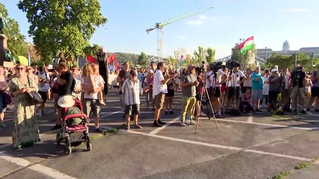 Húngaros protestam contra lei que facilita abate de árvores