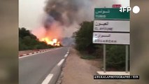 ارتفاع حصيلة حرائق الغابات في شمال الجزائر إلى 26 قتيلًا