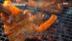 [TASTY]  Chewy and spicy. Fire squid, 생방송 오늘 저녁 220818