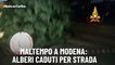 Maltempo a Modena: alberi caduti per strada