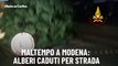 Maltempo a Modena: alberi caduti per strada