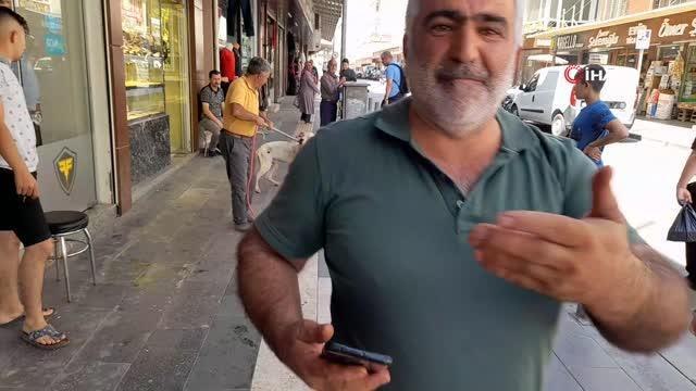 Kilis haberleri | Kilis'te başıboş dolaşan Pitbull cinsi köpek, yakalanarak hayvan barınağına götürüldü