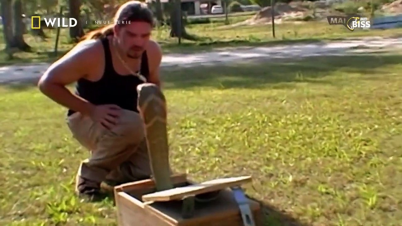 Raubtiere auf Angriff Staffel 1 Folge 1 HD Deutsch