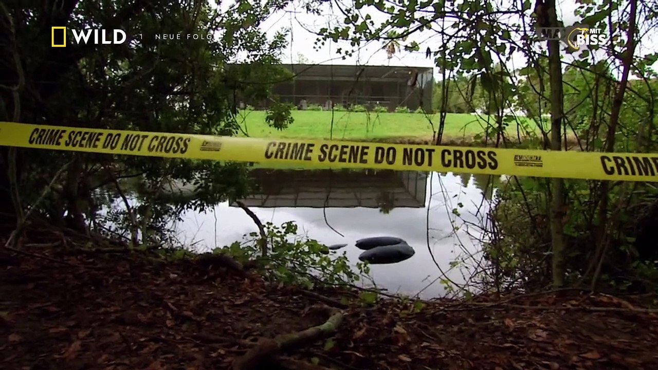 Raubtiere auf Angriff Staffel 1 Folge 2 HD Deutsch