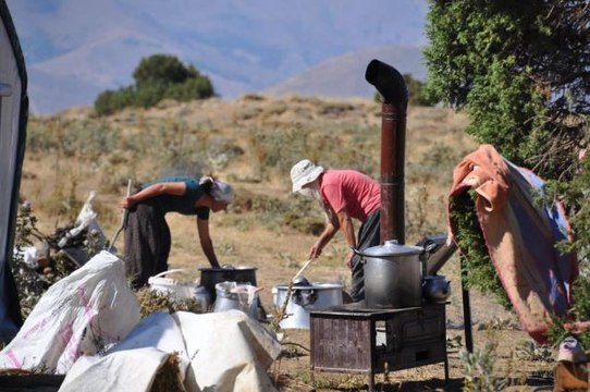 Tunceli gündem haberleri | Huzur kenti Tunceli'de yaylacılar güven içerisinde dağlara çıkıp hayvancılık yapıyor