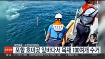 경북 포항 호미곶 인근 해상 표류 목재 100여개 수거