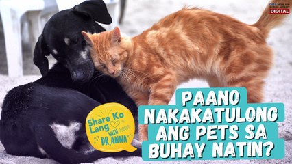 How do pets help with stress and mental health? | Share Ko Lang