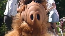 ALF Staffel 1 Folge 2 HD Deutsch
