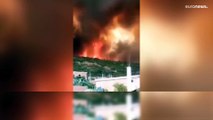 Gli incendi boschivi in Algeria hanno causato decine di vittime