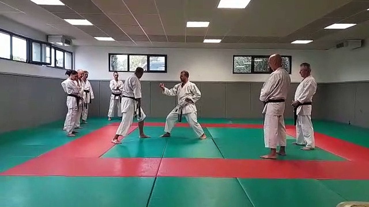 Travail bunkai application à deux