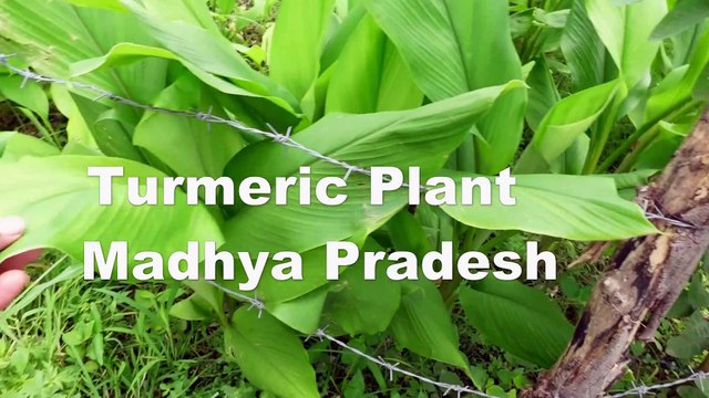 Village tour of Madhya Pradesh and Uttar Pradesh