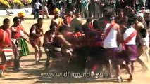 Piglet catching or Pig wrestling at Hornbill festival, Nagaland