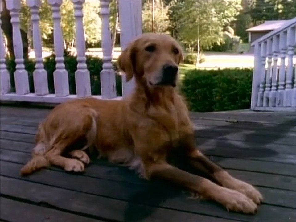 Gänsehaut - Die Stunde der Geister Staffel 1 Folge 6 HD Deutsch