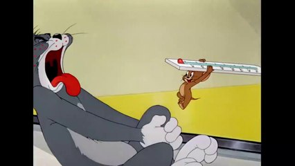 Tom & Jerry _ Is Jerry  the legents  Tom_ _ Classic Cartoon _