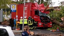 Pistoia, maltempo: albero cade su un camion, conducente bloccato