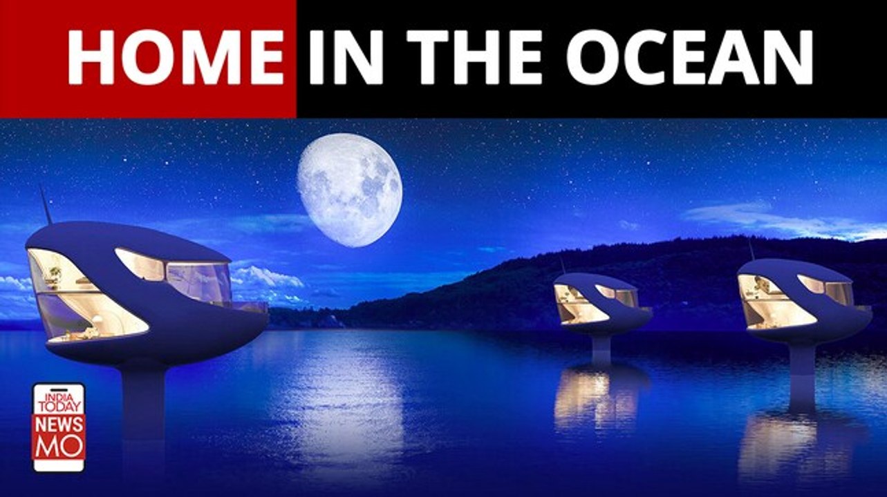 Forget Yachts. These Floating Homes Will Give You Luxurious Eco-Friendly Residence On The Ocean
