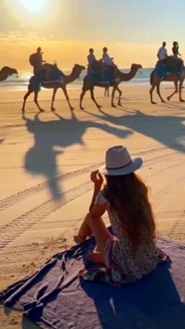 ⁣The Camels  Of Arabia