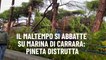 Il maltempo si abbatte su Marina di Carrara: pineta distrutta