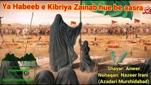Ya Habeeb e Kibriya | Shayar: Anwer |  Nazeer Irani (Azadari Murshidabad) | old Noha | Purane Nohay