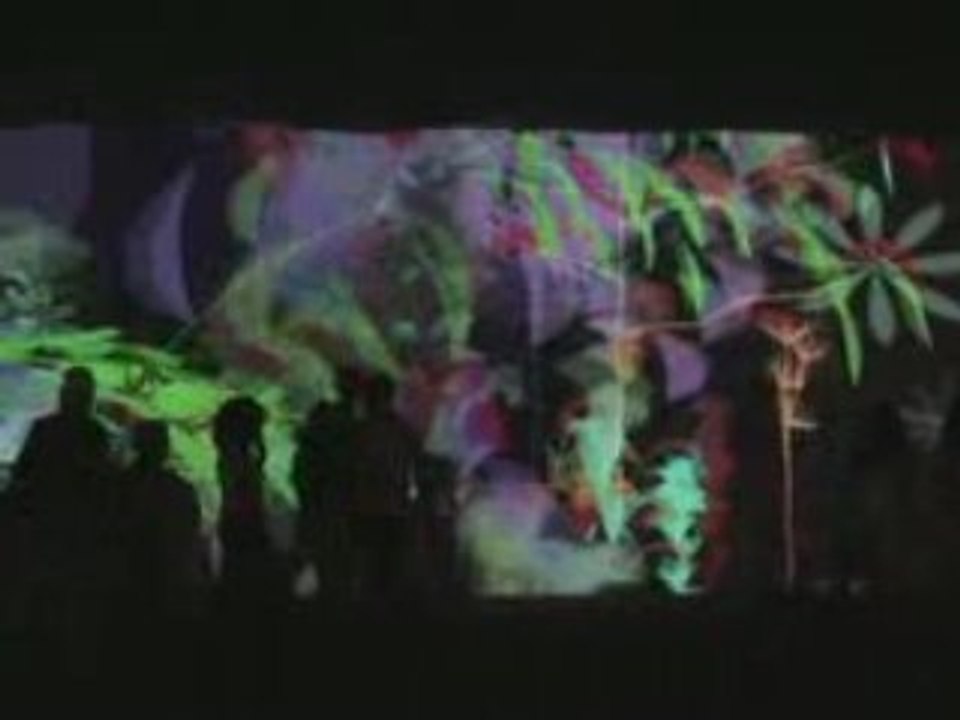 Ultra-Nature 2007 Miguel Chevalier