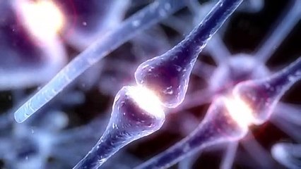 La conmoción cerebral en el deporte