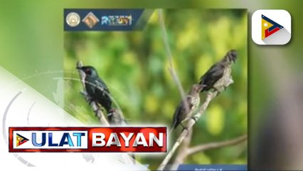DOT-1, naging makabuluhan ang isinagawang birdwatching exploration tour