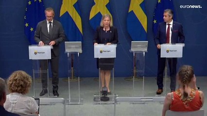 Швеция переходит на дрова. Раньше их импортировали из России