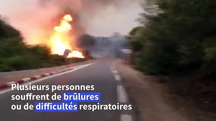Au moins 38 personnes ont péri dans des incendies au nord de l'Algérie