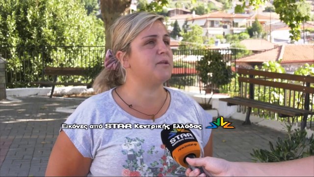 Φθιώτιδα: 10χρονο αγοράκι δέχτηκε επίθεση από αδέσποτα - Παραμένει στην πλατεία του χωριού το ένα από τα δυο σκυλιά που επιτεθήκαν στο παιδί