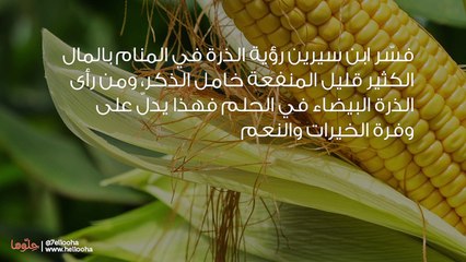 تفسير رؤية الذرة في المنام وحلم أكل الذرة