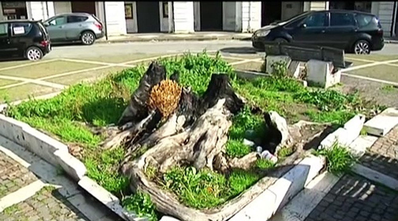 RTP Telegiornale 18 Agosto