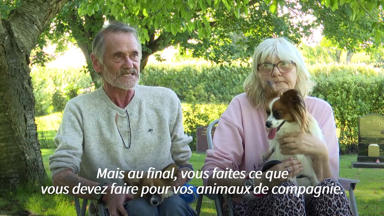 L'amour des Britanniques pour leurs animaux à l'épreuve du coût de la vie