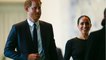Prince Harry’s children may go to school in the UK, claims expert