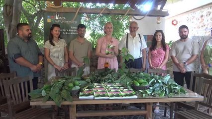 Akademisyenler avokadonun kitabını yazdı