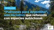 “Pulmones para Argentina”, una iniciativa que reforesta con especies autóctonas