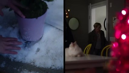 About Fate Bande-annonce VO