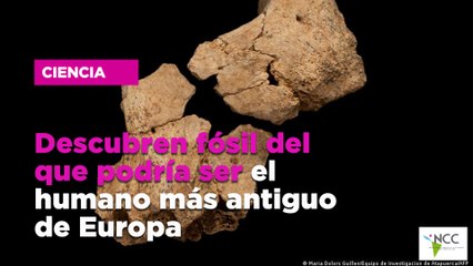 Descubren fósil del que podría ser el humano más antiguo de Europa